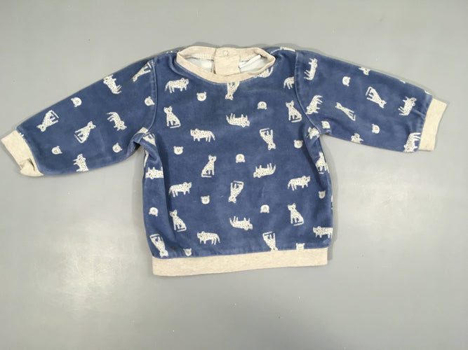 Pull velours bleu félins, moins cher chez Petit Kiwi