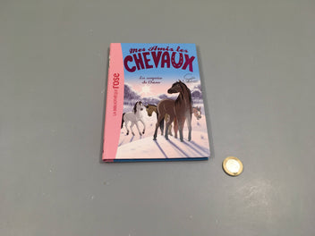 La bibliothèque rose, mes amis les chevaux, la srprise de l'hiver