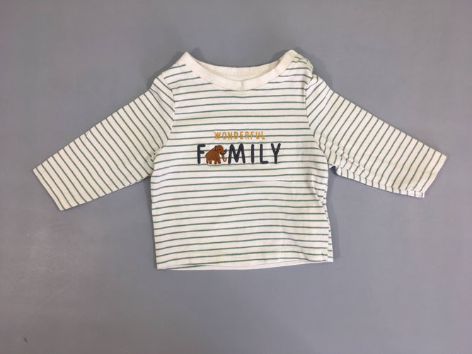 T-shirt m.l blanc rayé vert Family-Bouloché, moins cher chez Petit Kiwi