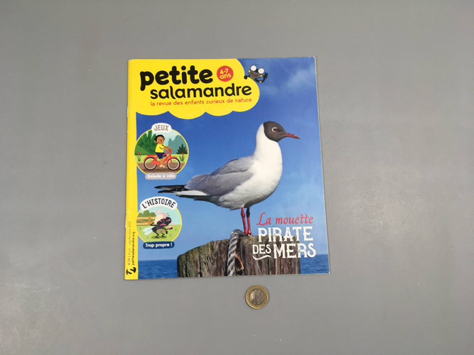 Petite salamandre-La mouette pirate des mers, moins cher chez Petit Kiwi