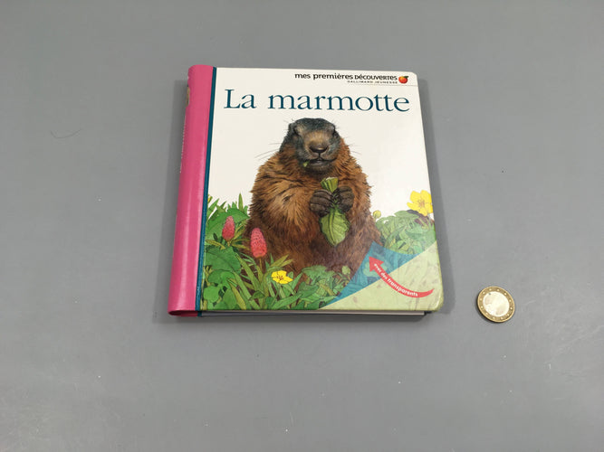 La marmotte, mes première découvertes, moins cher chez Petit Kiwi