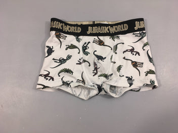 Boxer blanc dinos