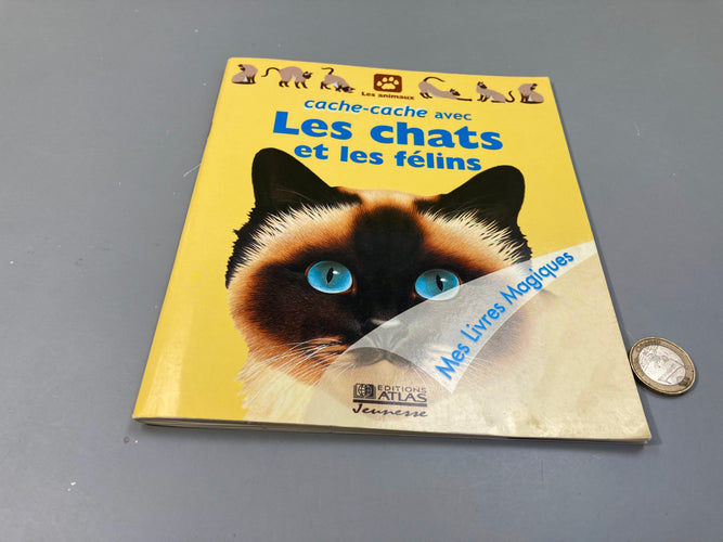 Cache-cache avec Les chats et les félins, moins cher chez Petit Kiwi