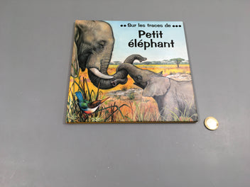 Sur les traces de petit éléphant