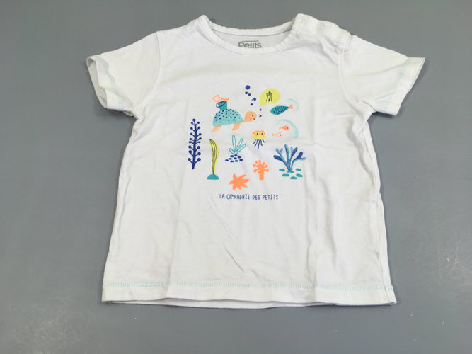 T-shirt m.c blanc motifs marins, moins cher chez Petit Kiwi