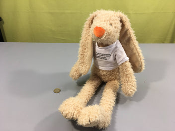 Lapin câlin 50cm (avec t-shirt amovible)