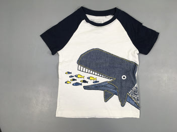 T-shirt m.c blanc flammé-bleu poissons