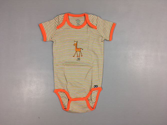 Body m.c rayé orange, vert, blanc girafe 100% coton, moins cher chez Petit Kiwi