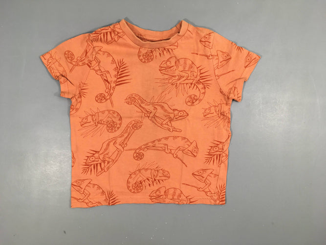 T-shirt m.c orange  caméléons 100% coton, moins cher chez Petit Kiwi