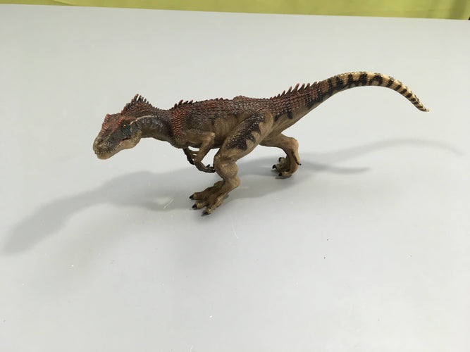 Dinosaure-Allosaurus S5B9 Bouche articulée 25cm-9cm Bouche articulée, moins cher chez Petit Kiwi