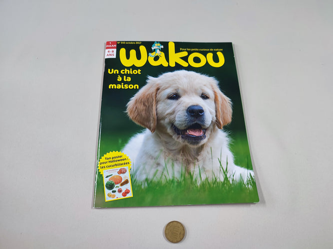 Wakou - Un chiot à la maison, moins cher chez Petit Kiwi